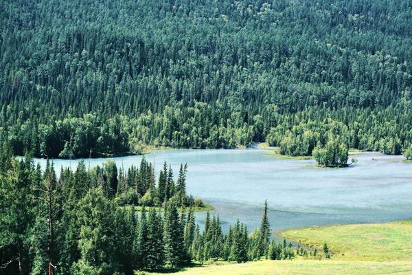 今夏,新疆阿勒泰地区风景美如画。人民网记者 刘微摄