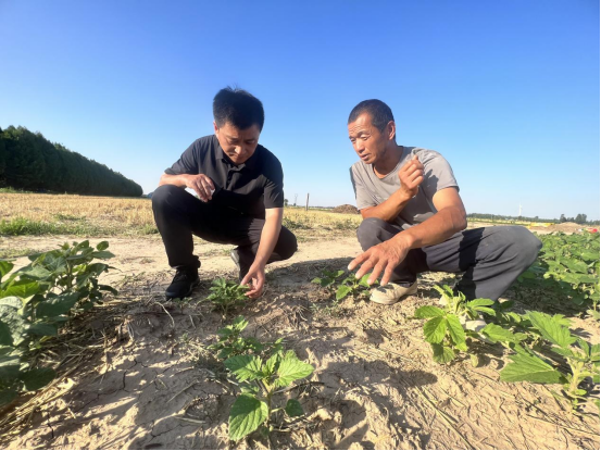 夏至启程!粟祖干黄创始人郝波珍与安金磊的生态之约 - 中国文旅传媒网_国家级文旅政策解读|非遗传承案例|产业数据报告平台